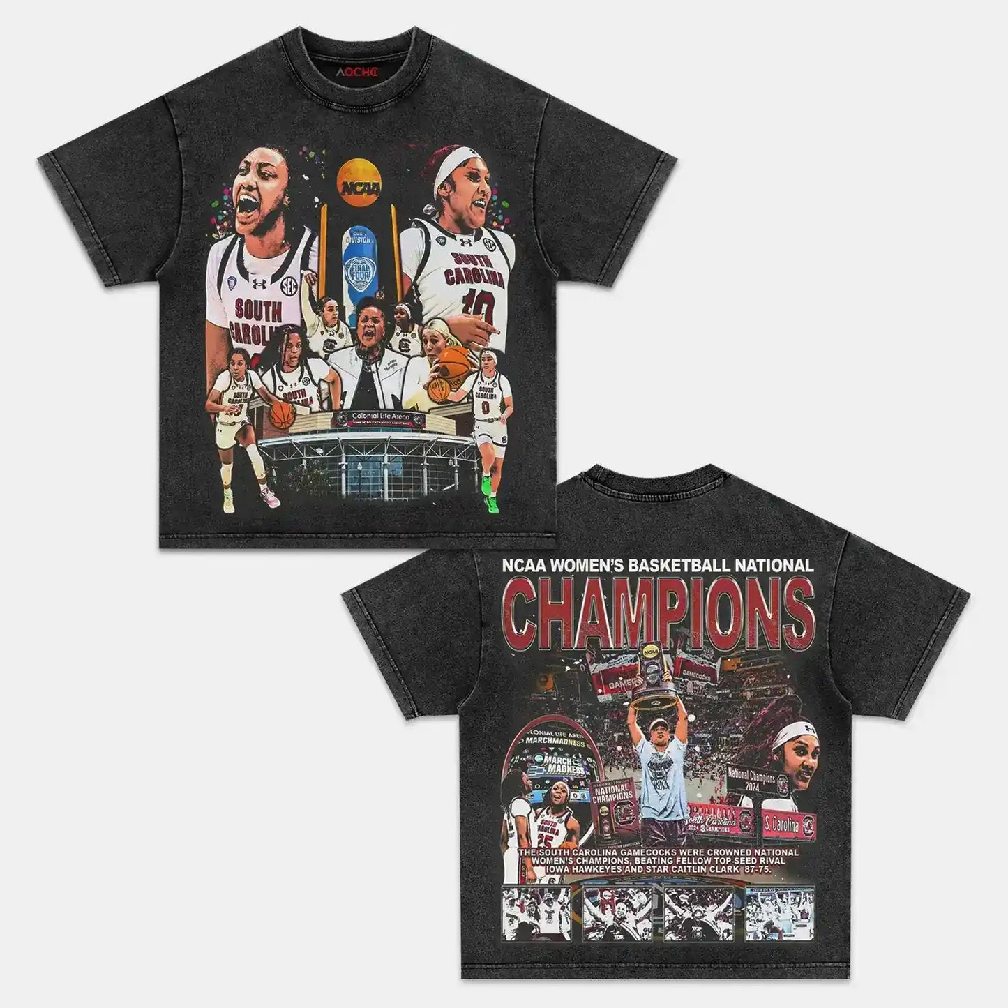 2024 SC GAMECOCKS TEE-[DS]