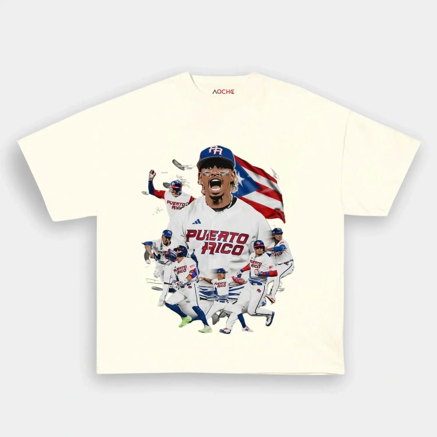 2026 WBC PUERTO RICO TEE - AQCHIC