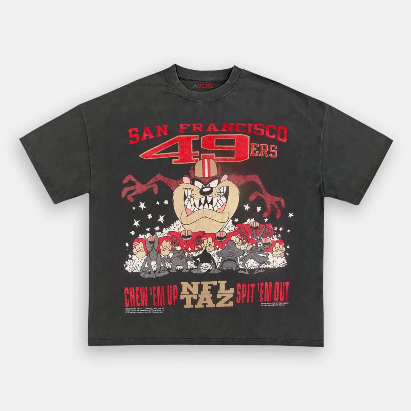 SAN FRANCISCO 49ERS TEE2