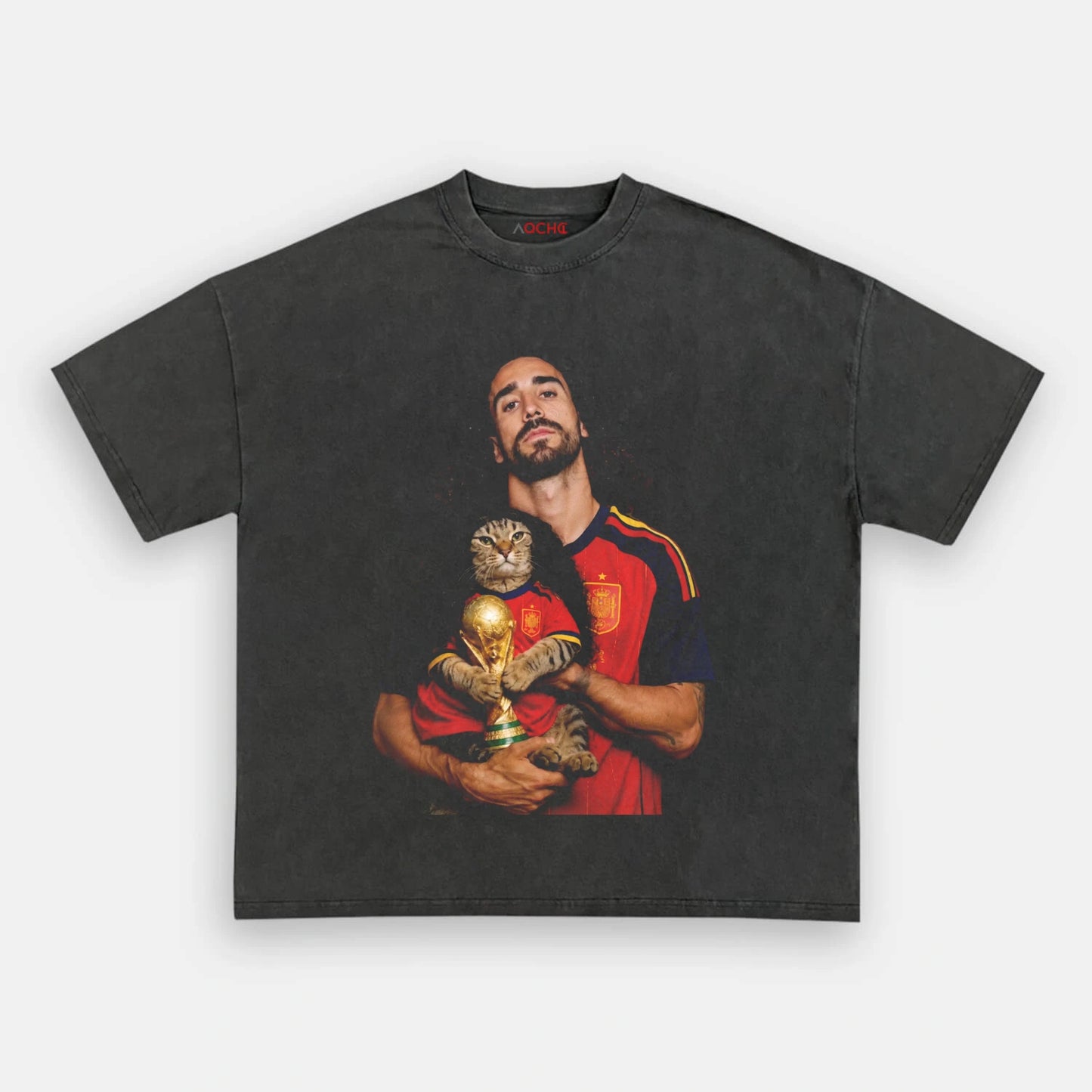 Spain World Champions Tee 4 - AQCHIC